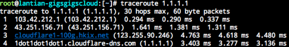 优雅地在 Traceroute 里膜 拜大佬 的插图